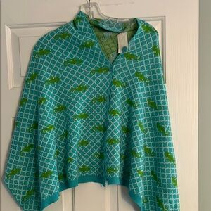 Stylish Blue and Green Scarf